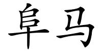 阜马的解释