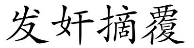 发奸摘覆的解释