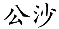 公沙的解释