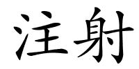 注射的解释