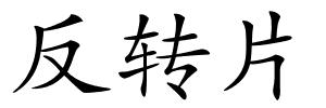 反转片的解释