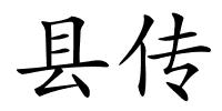 县传的解释
