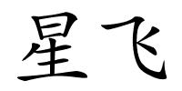星飞的解释
