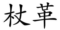 杖革的解释