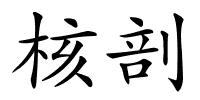 核剖的解释