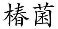 椿菌的解释