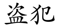 盗犯的解释