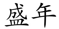 盛年的解释