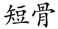 短骨的解释