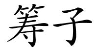 筹子的解释