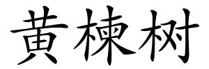 黄楝树的解释