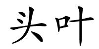 头叶的解释