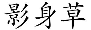 影身草的解释