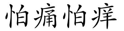 怕痛怕痒的解释