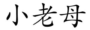 小老母的解释