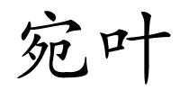 宛叶的解释