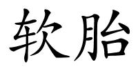 软胎的解释