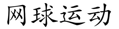 网球运动的解释
