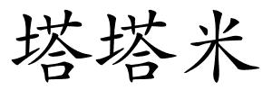 塔塔米的解释