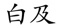 白及的解释