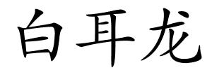白耳龙的解释