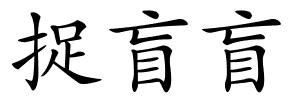 捉盲盲的解释