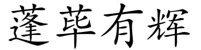 蓬荜有辉的解释