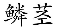 鳞茎的解释