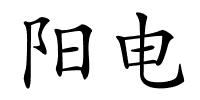 阳电的解释