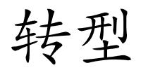 转型的解释