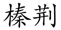 榛荆的解释