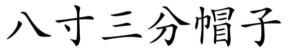 八寸三分帽子的解释