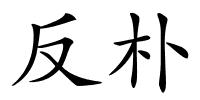 反朴的解释