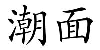 潮面的解释
