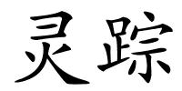 灵踪的解释