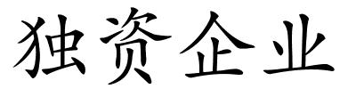 独资企业的解释