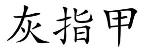 灰指甲的解释
