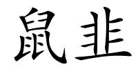 鼠韭的解释