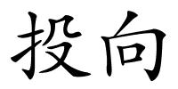 投向的解释