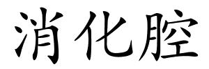 消化腔的解释
