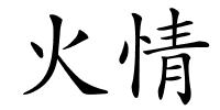 火情的解释