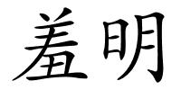 羞明的解释