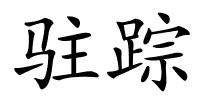 驻踪的解释