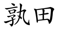 孰田的解释