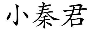小秦君的解释