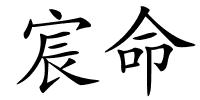 宸命的解释