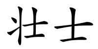 壮士的解释