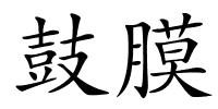 鼓膜的解释