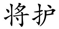 将护的解释