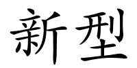 新型的解释